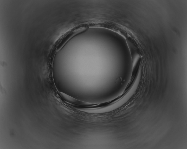 X0000090961160200708021410