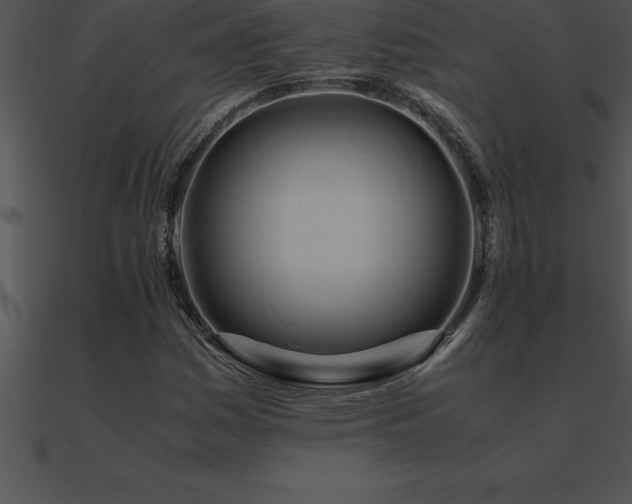 X0000090961161200708021410