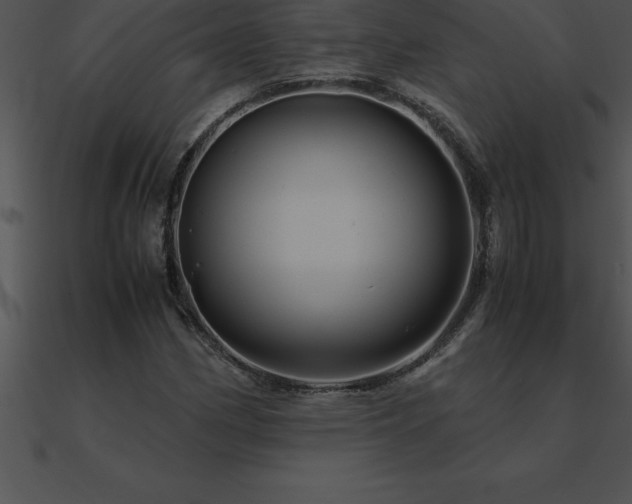 X0000090961162200708021410