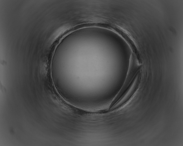 X0000090961163200708021410