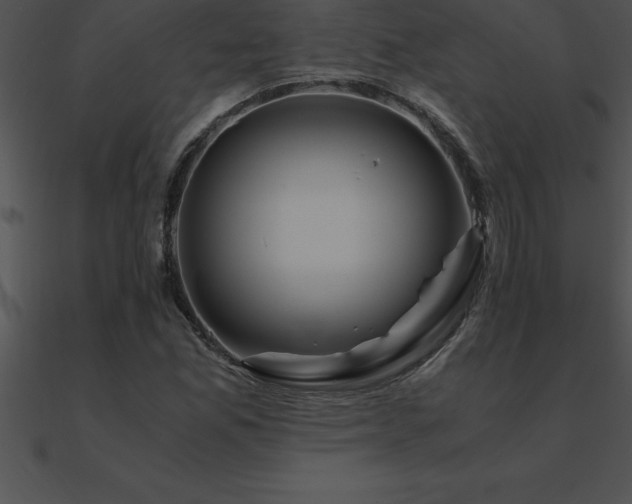 X0000090961165200708021410