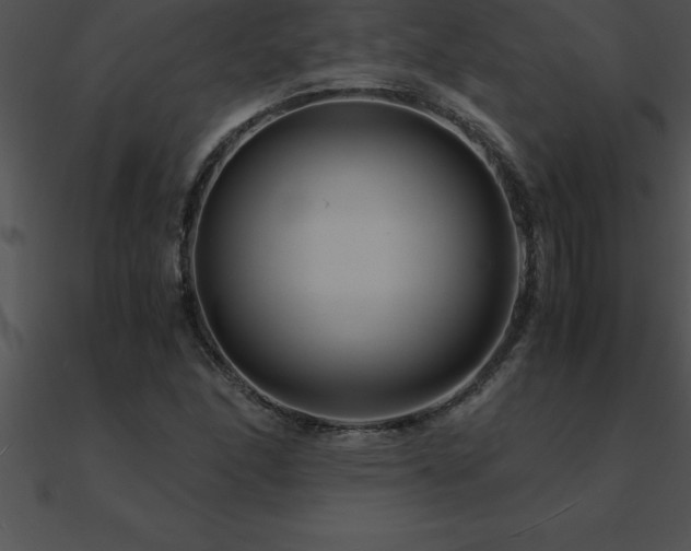 X0000090961166200708021410