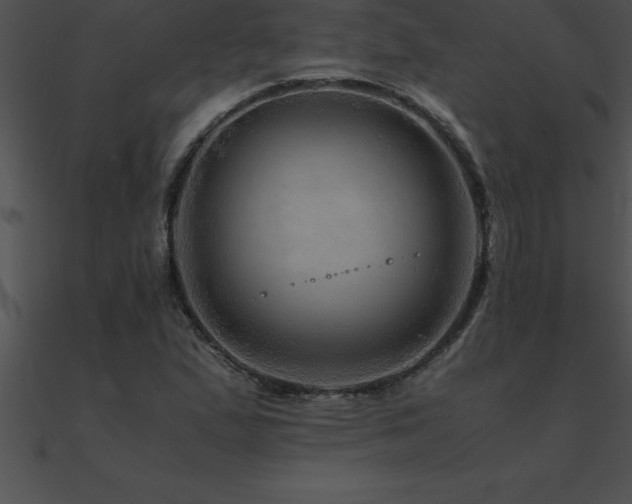 X0000090961167200708021410