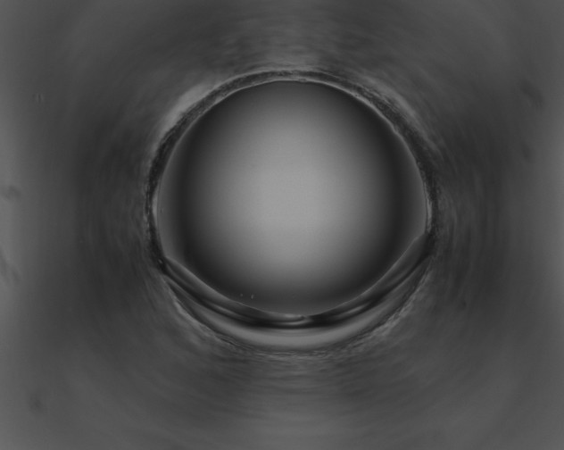 X0000090961168200708021410