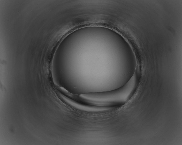 X0000090961169200708021410