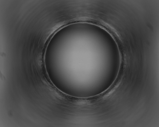 X0000090961170200708021410