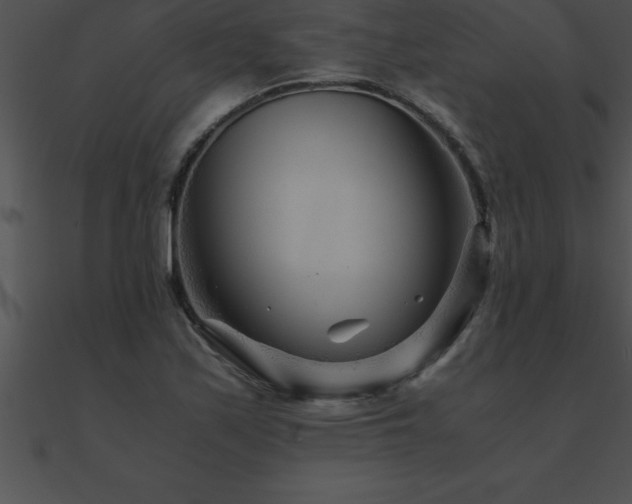 X0000090961171200708021410