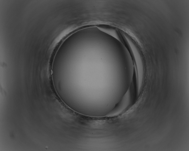 X0000090961173200708021409
