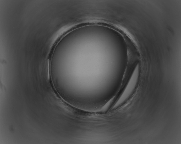 X0000090961175200708021409