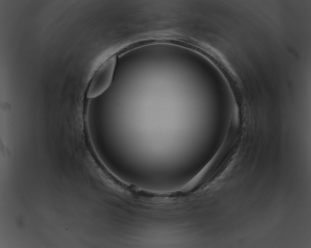 X0000090961176200708021409