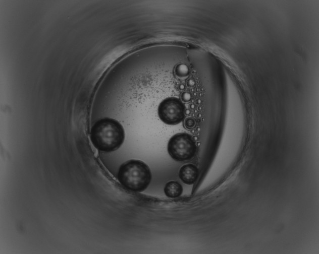 X0000090961177200708021409