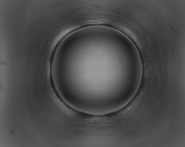 X0000090961179200708021409