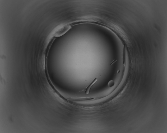 X0000090961180200708021409