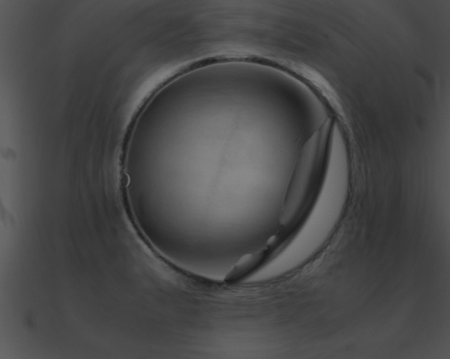 X0000090961183200708021409