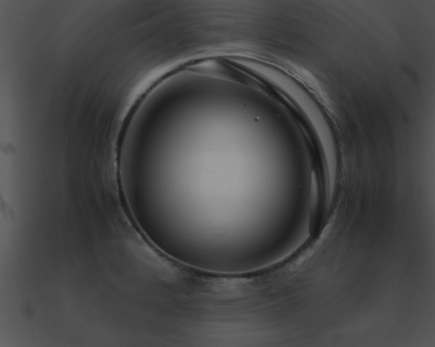 X0000090961184200708021409