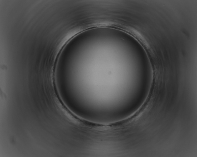 X0000090961186200708021409