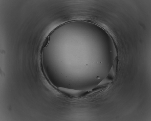 X0000090961187200708021409