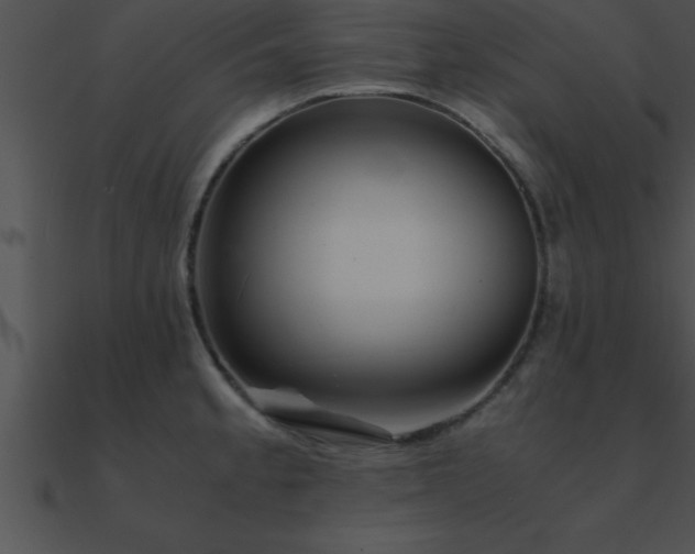 X0000090961189200708021409