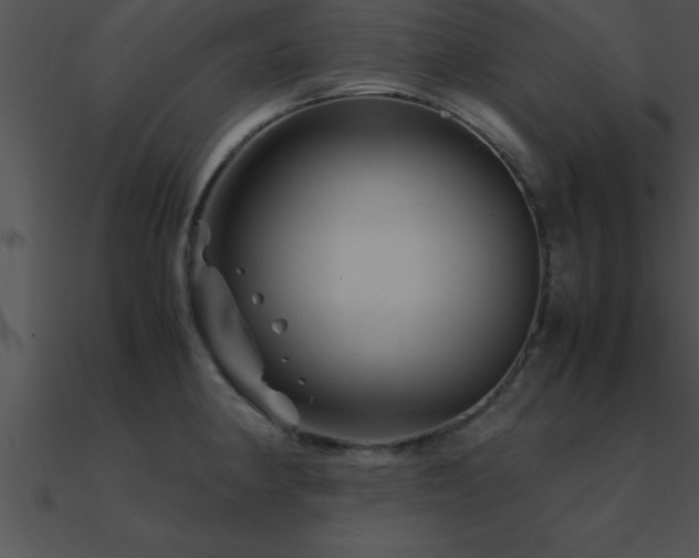 X0000090961190200708021409