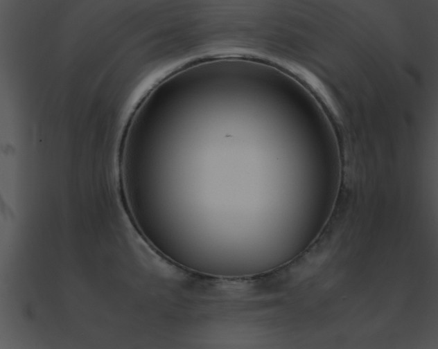 X0000090961191200708021409