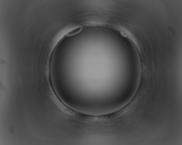 X0000090961195200708021409