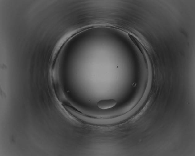 X0000090961196200708021409
