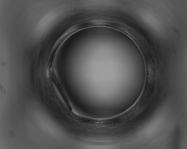 X0000090961198200708021409
