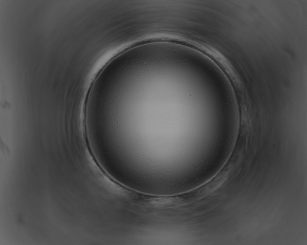 X0000090961199200708021409