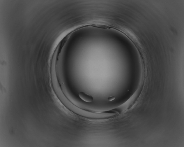 X0000090961200200708021409