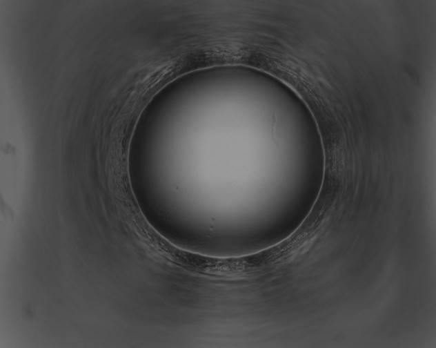 X0000090961201200708021408