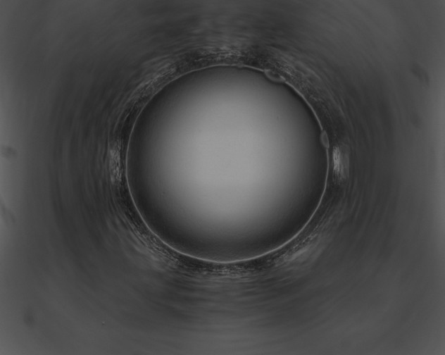 X0000090961203200708021408