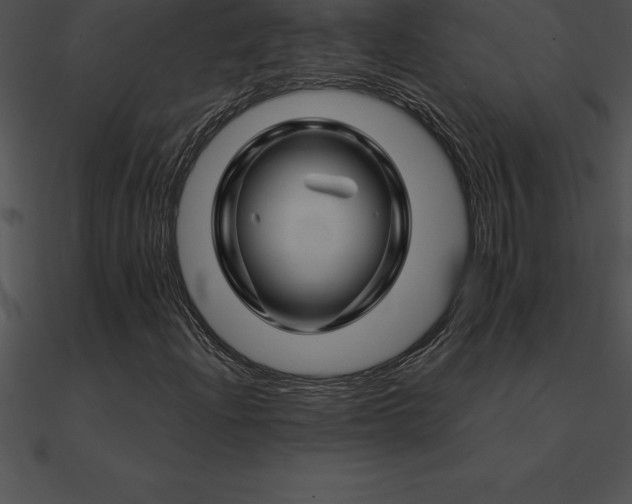 X0000090961204200708021408