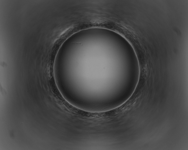 X0000090961205200708021408