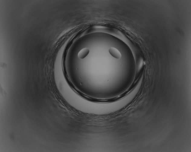 X0000090961206200708021408