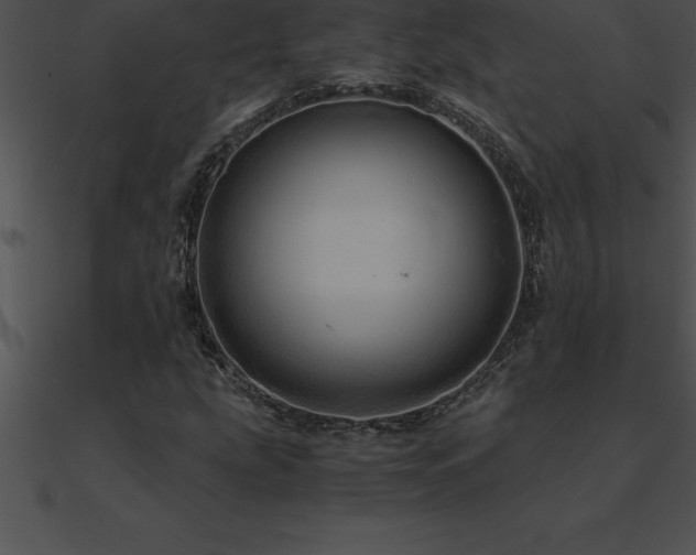 X0000090961207200708021408