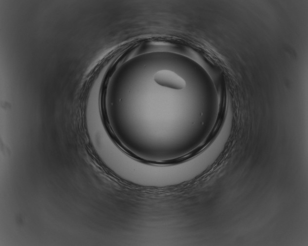 X0000090961208200708021408