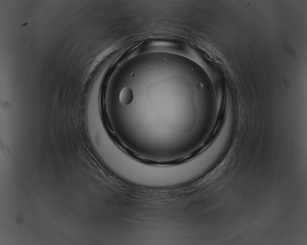 X0000090961210200708021408