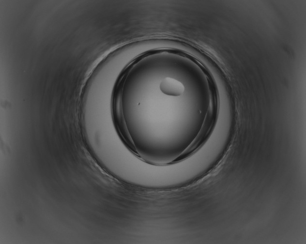 X0000090961212200708021408