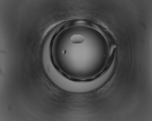 X0000090961214200708021409