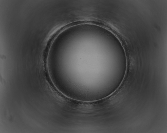X0000090961215200708021409