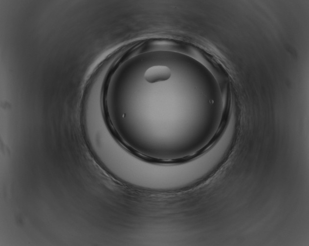 X0000090961216200708021409