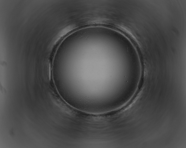 X0000090961219200708021409