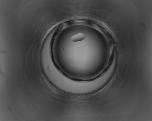 X0000090961220200708021409