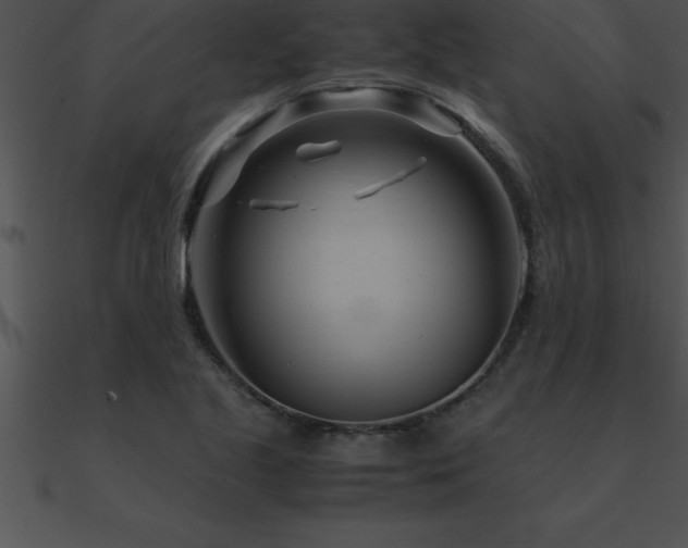 X0000090961221200708021409