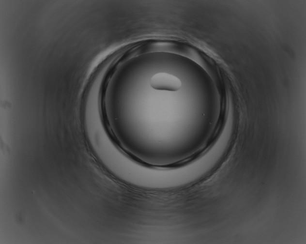 X0000090961222200708021409