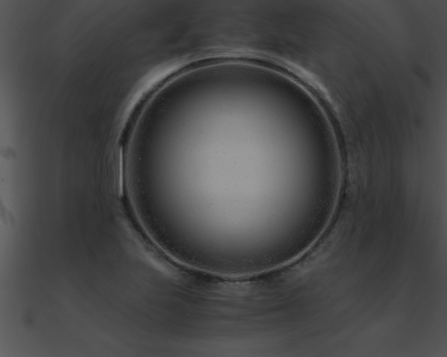 X0000090961223200708021409