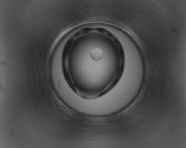 X0000090961224200708021409