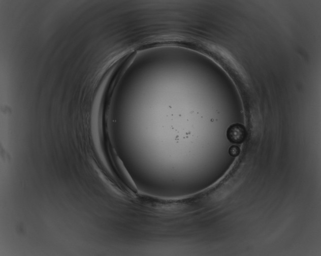 X0000090961225200708021409