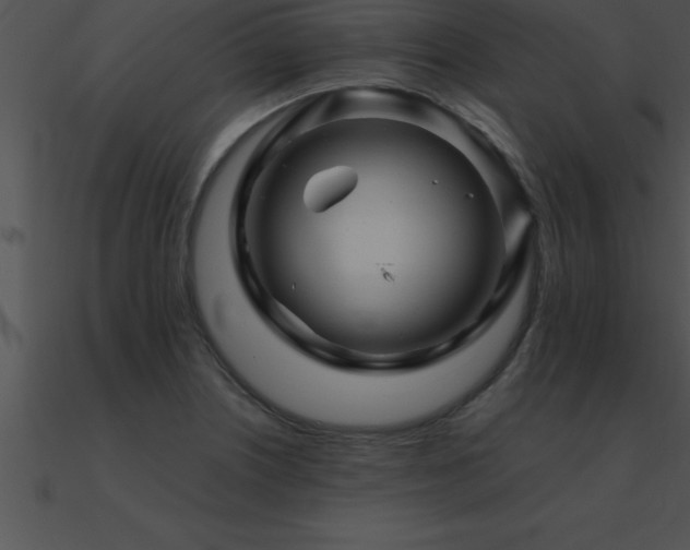 X0000090961226200708021409