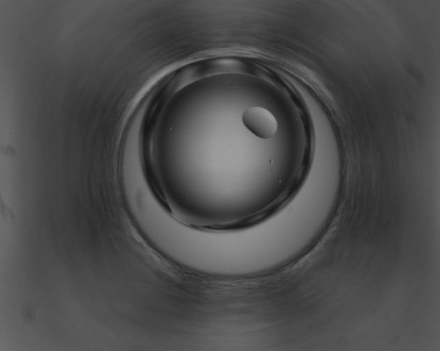 X0000090961228200708021409